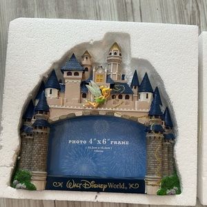Magic Kingdom Cinderella Castle picture frame with Tinkerbell!
